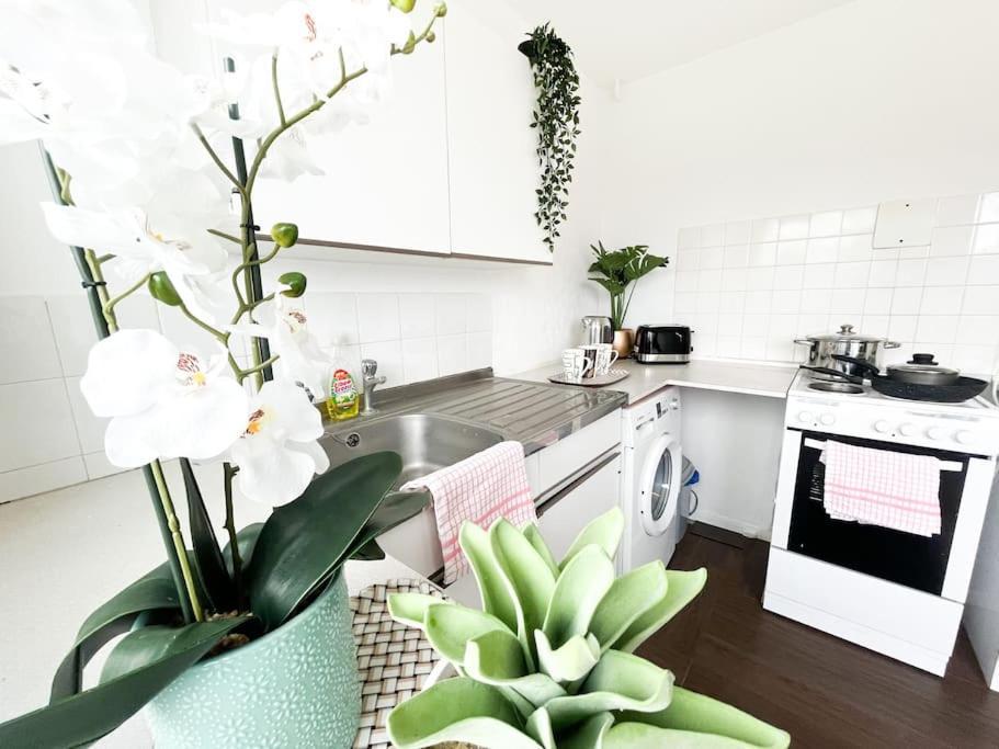3 Bedroom House With Free Parking 채텀 외부 사진